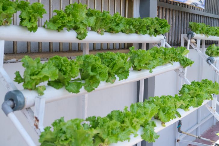 Lapas narkotika bandar lampung