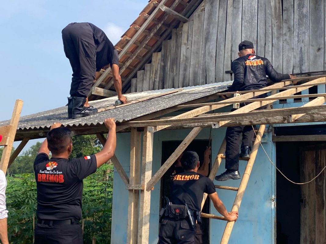Dalam rangka memperingati Hari Ulang Tahun ke-80 Korps Brimob Polri, Satuan Brimob Polda Lampung melalui Kompi 2B Batalyon B Pelopor melaksanakan kegiatan bantuan bedah rumah bagi masyarakat kurang mampu, Sabtu (18/10/2025). Poto: Dok SatBrimobda Lampung