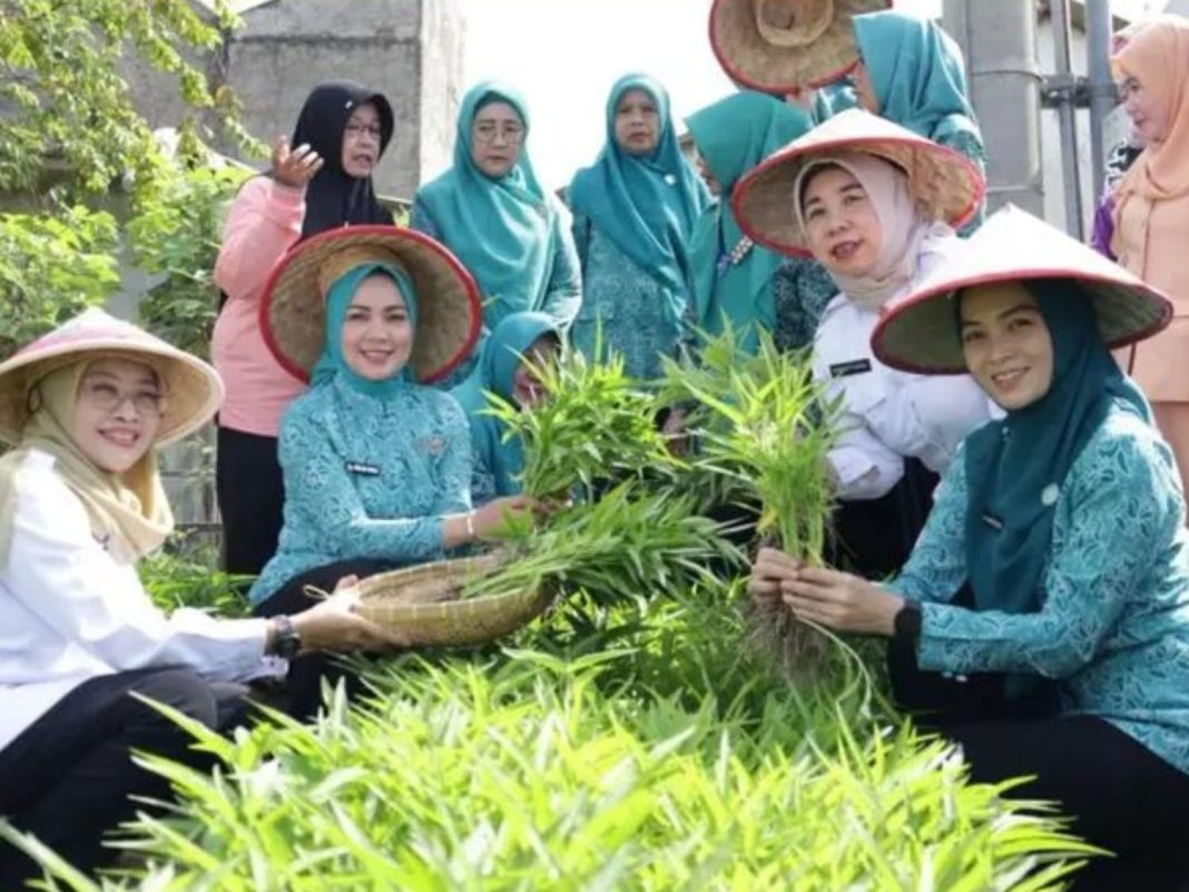 Ketua PKK Provinsi Lampung, Batin Wulan Resmi Canangkan Kelurahan Nusantara Permai Kota Bandar sebagai Desa TAPIS