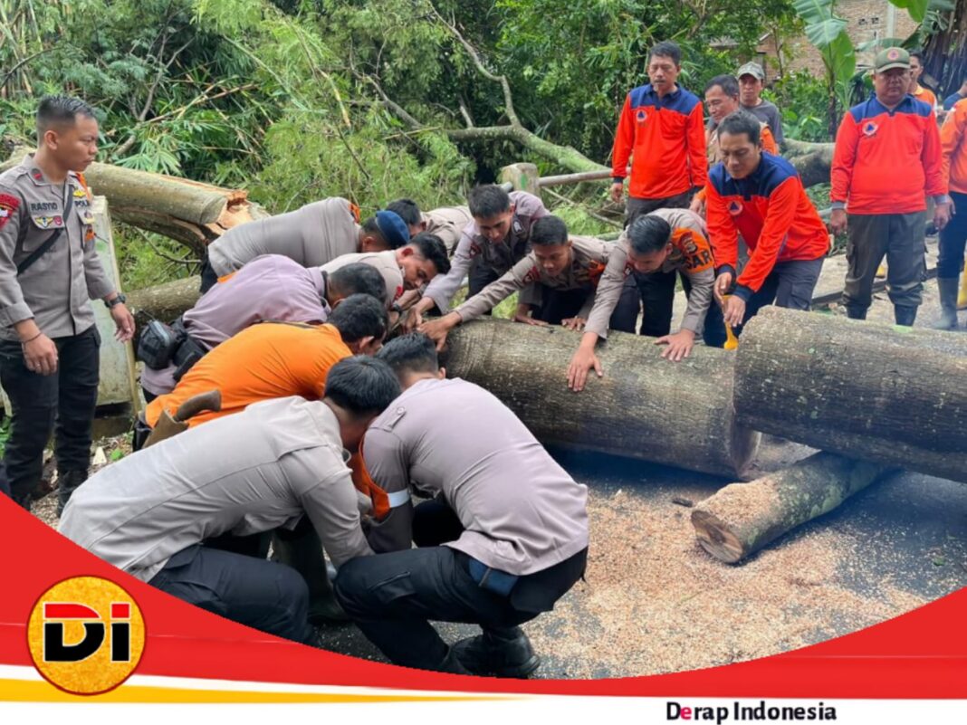 Brimob Batalyon C Pelopor dan BPBD Lampung Utara Bersihkan Pohon Tumbang di Desa Tanjung Harapan
