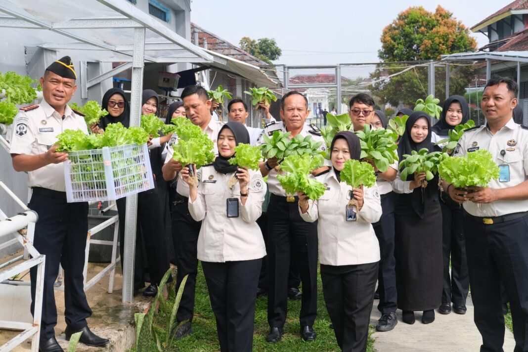 Wujud Ketahanan Pangan, Lapas Narkotika Bandar Lampung Panen Tanaman Hidroponik
