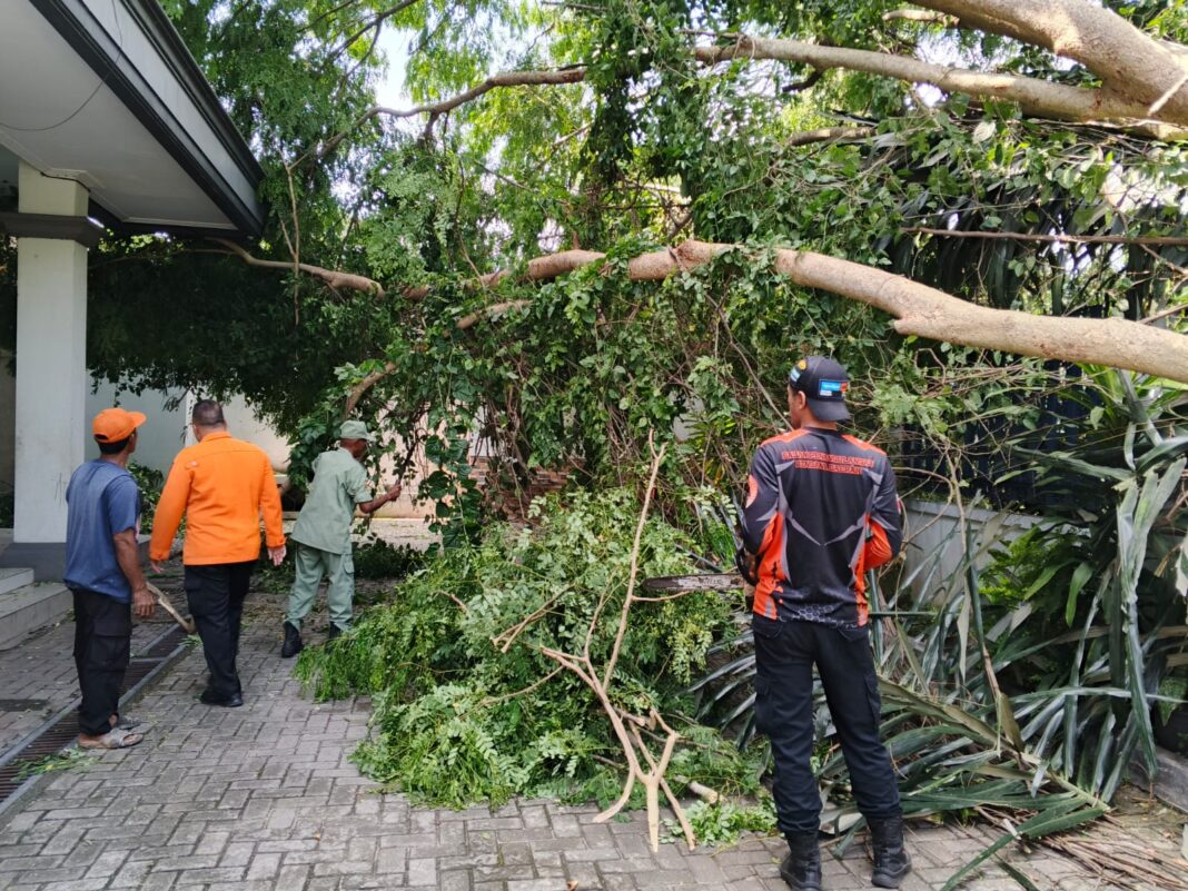 Pohon Besar Tumbang Menimpa Pagar Gereja HKBP, Respon Cepat Babinsa Koramil TBU Mobilisasi Tim Gabungan