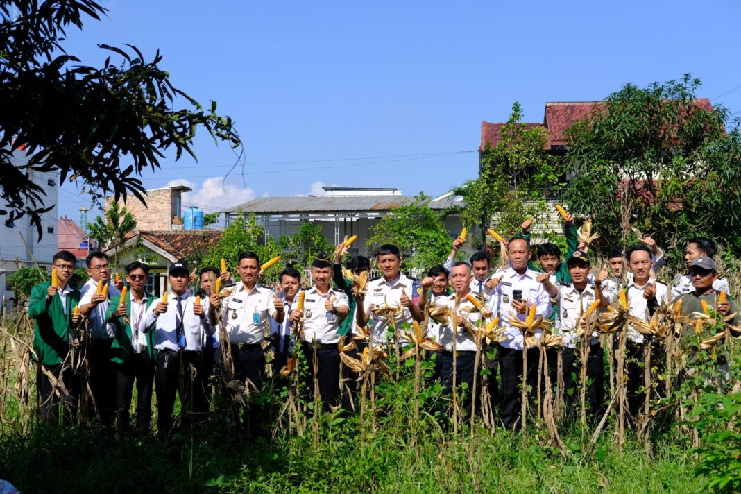 Wujudkan Ketahanan Pangan, Lapas Narkotika Bandar Lampung Panen Raya Jagung