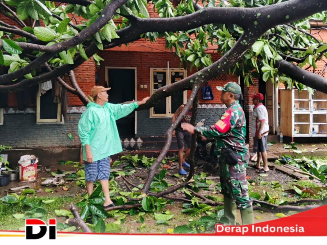 Sigap, Babinsa Pelda Enang Kamaludin, Bantu Tangani Rumah Warga Tertimpa Pohon di Kelurahan Sumur Batu
