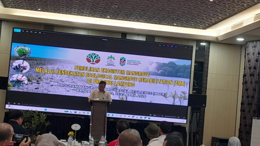 Pemprov Lampung Terus Komitmen Perkuat Pemulihan Ekosistem Mangrove