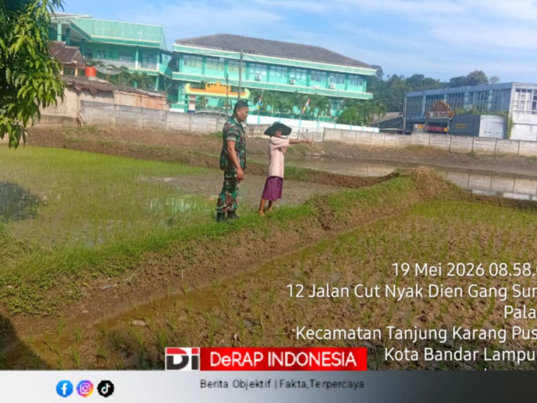 Kodim 0410 Bandar Lampung, Wujudkan Komitmen TNI AD Sukseskan Program Ketahanan Pangan Nasional