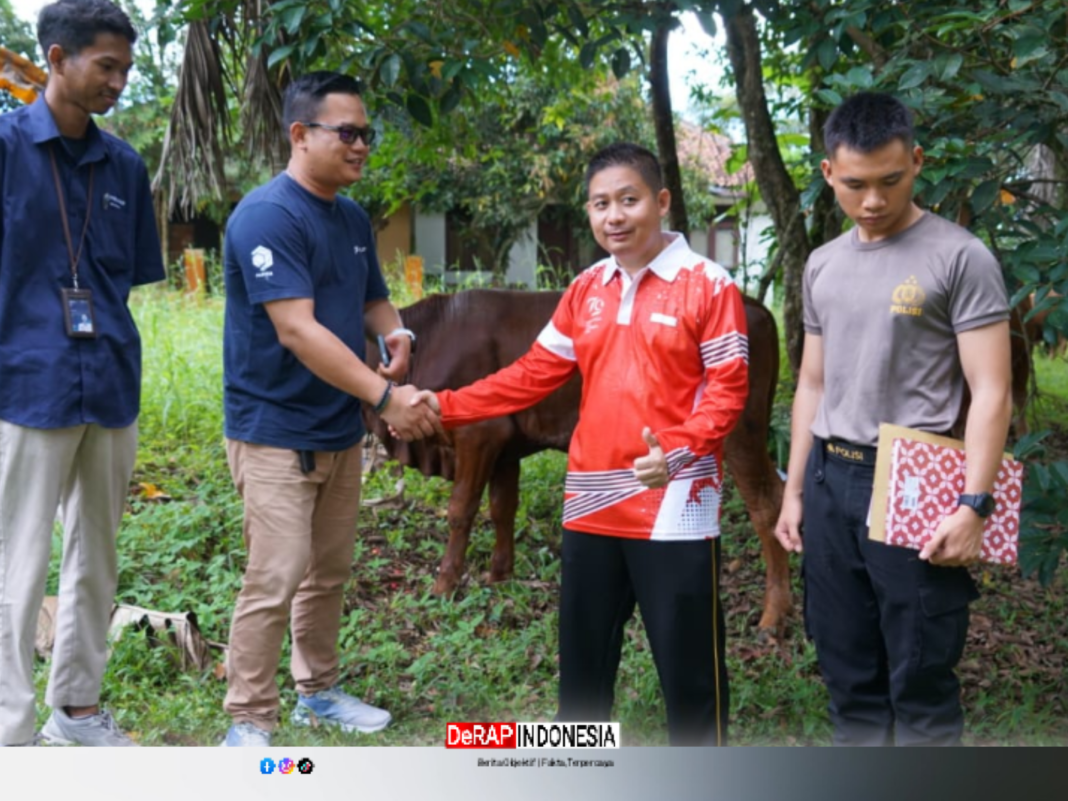 Pelindo Regional 2 Panjang Salurkan 21 Ekor Hewan Qurban pada Iduladha 1447 H