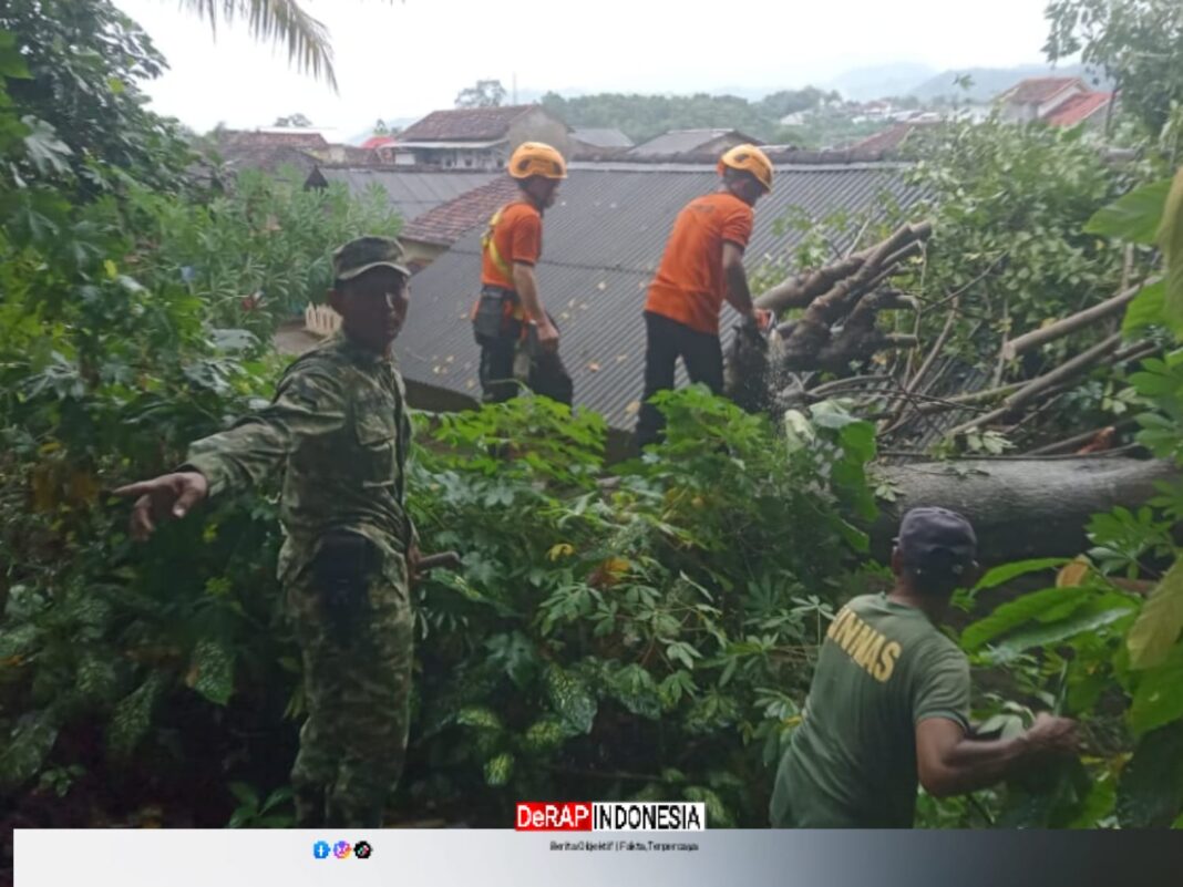 Pohon Tumbang Timpa Rumah Warga, Babinsa Koramil 410-03/TBU Gercep Lakukan Percepatan Evakuasi