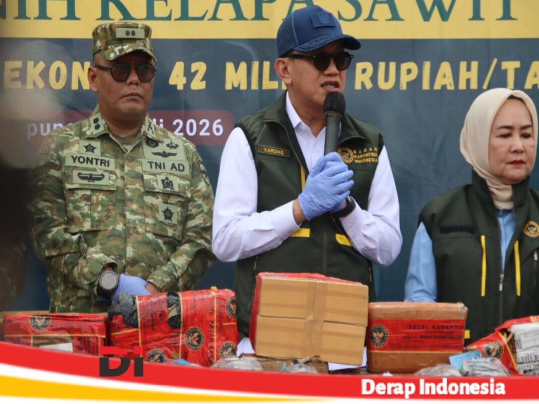 Barantin Gagalkan Peredaran 75.992 Bibit Sawit Ilegal, Potensi Kerugian Ekonomi Capai Rp42 Miliar per Tahun