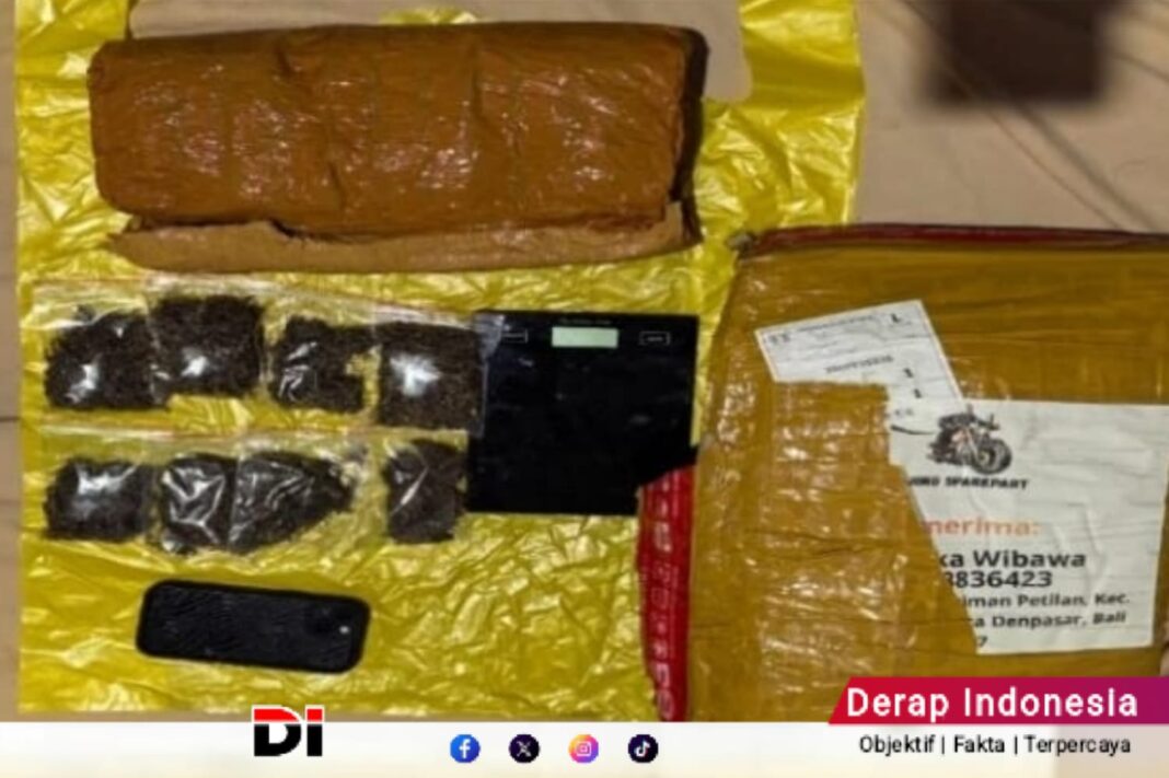 Polda Lampung Berhasil Bongkar Jaringan Narkoba Medan–Bali, 6 Kilogram Ganja Digagalkan