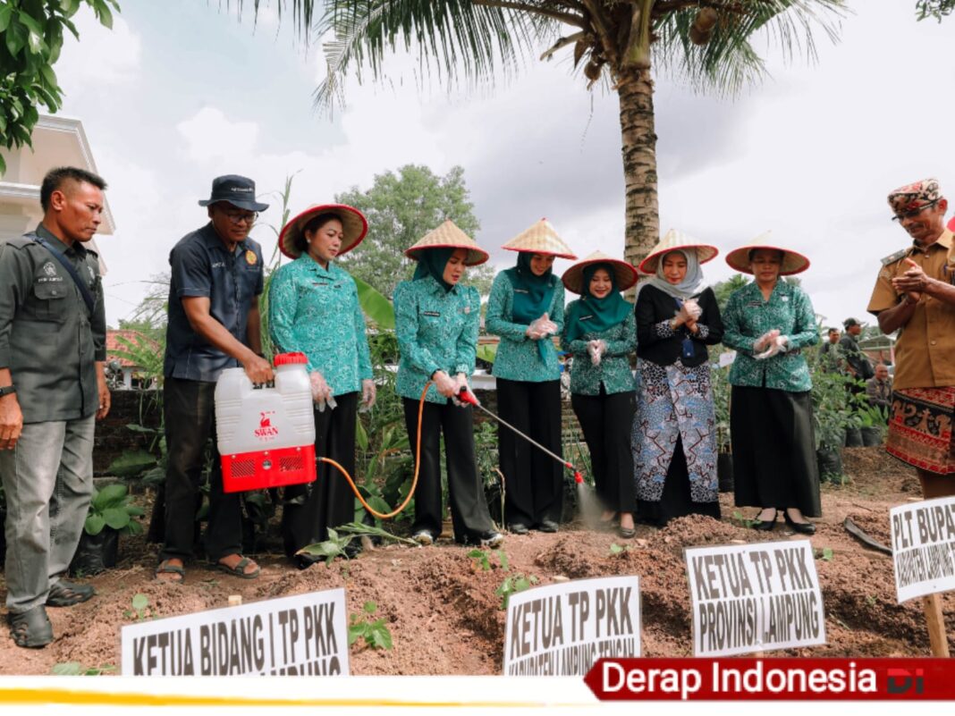 Canangkan Desa TAPIS dan Luncurkan Sekolah Lansia di Kampung Rukti Endah, Ketua TP PKK Lampung Dorong Pembangunan SDM Dimulai dari Desa