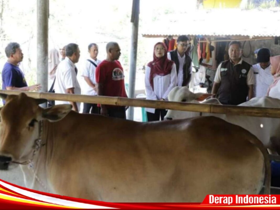 Jaga Ketahanan Pangan, Pemprov Jabar Salurkan Bibit Sapi Potong ke Tiga Kabupaten