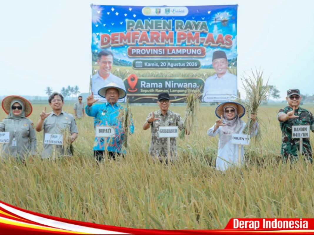Pemprov Lampung-Kementan Kolaborasi Perluas Pertanian Modern, PHC dan PM-AAS Dongkrak Panen Demfarm Capai Lebih Dari 11 Ton per Hektare
