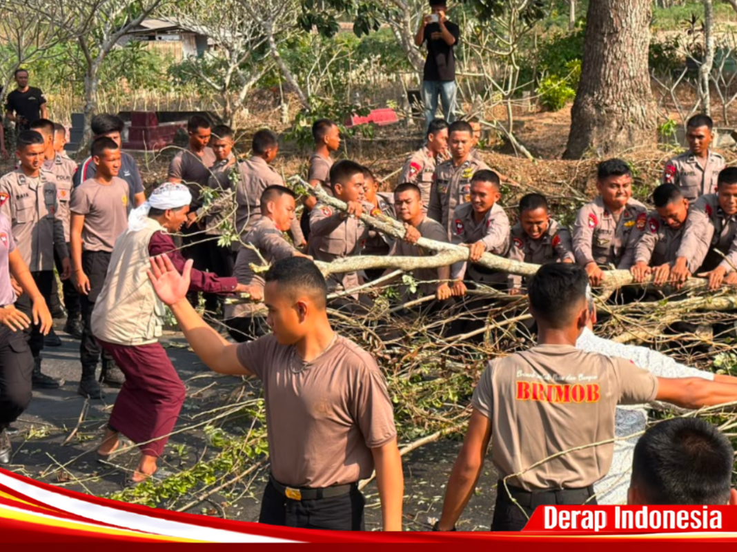 Brimob Polda Lampung Bantu Evakuasi Pohon Tumbang