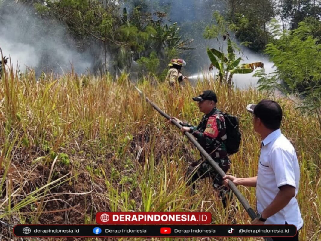 Aksi Cepat Babinsa Kodim 0410/KBL Bersama Damkar Padamkan Kebakaran Lahan di Bukit Sepagoh