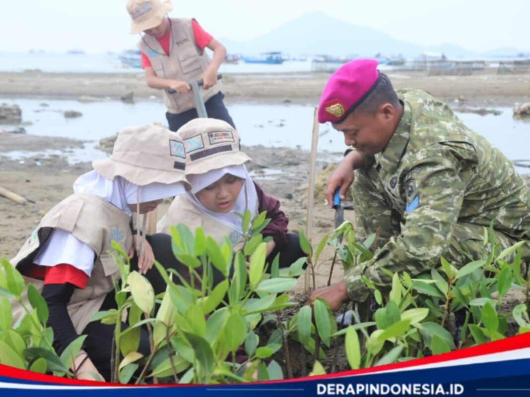 Peringati HUT ke-81 TNI, Brigif 4 MAR/BS Gelar Baksos, Bakes,Tanam Mangrove Sebagai Wujud Peduli Masyarakat dan Lingkungan
